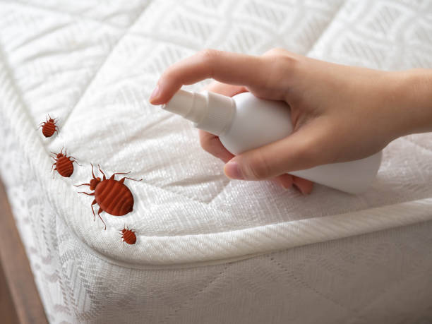 Best Pest Control for Multi-Family Homes  in Centerville, GA